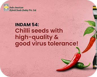 Lorem ipsum dolor sit amet, consectetur adipisicing elit. Tenetur nesciunt ea hic quas distinctio odio illum, officiis placeat. Sunt distinctio dolorum aut voluptatem?